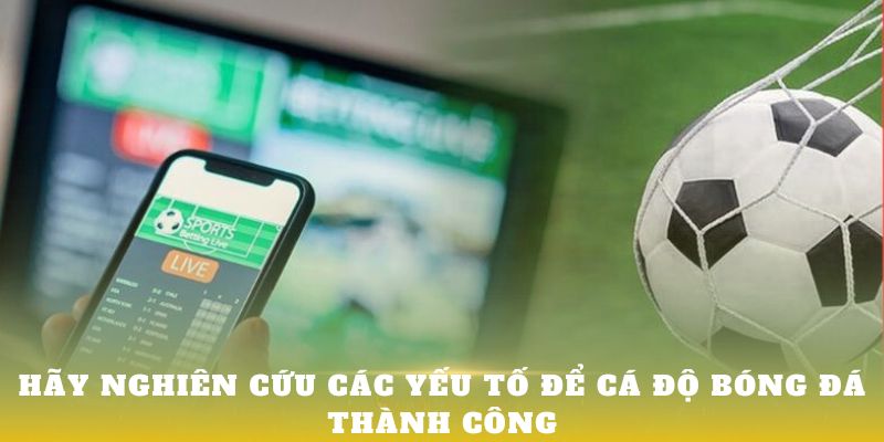 Hãy nghiên cứu các yếu tố để cá độ bóng đá thành công tại Hello88